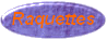 compte-rendu raquettes