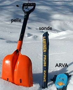 arva pelle