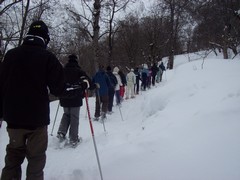 image7compte-rendu